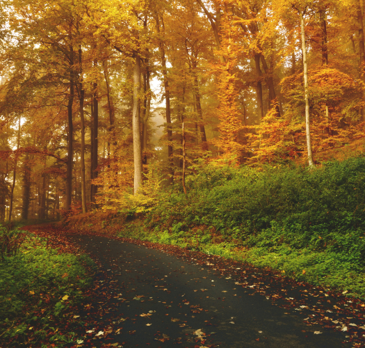 services-03 Services 03